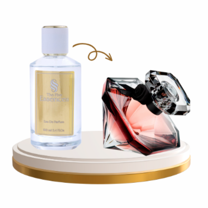 N°21 Inspired by La Nuit Tresor