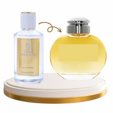 N°127 Inspired by Burberry's Women