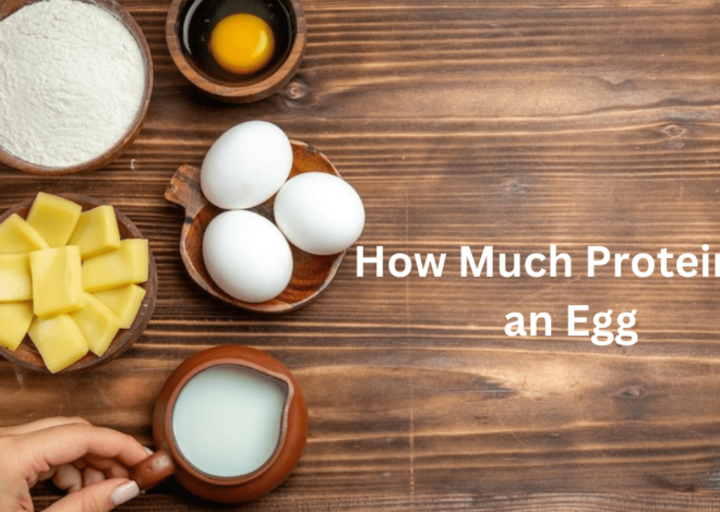 How Much Protein in an Egg? A Detailed Look